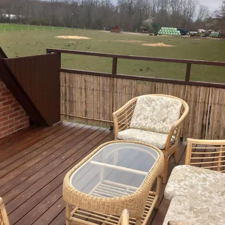 Nest 1 * Sønderborg